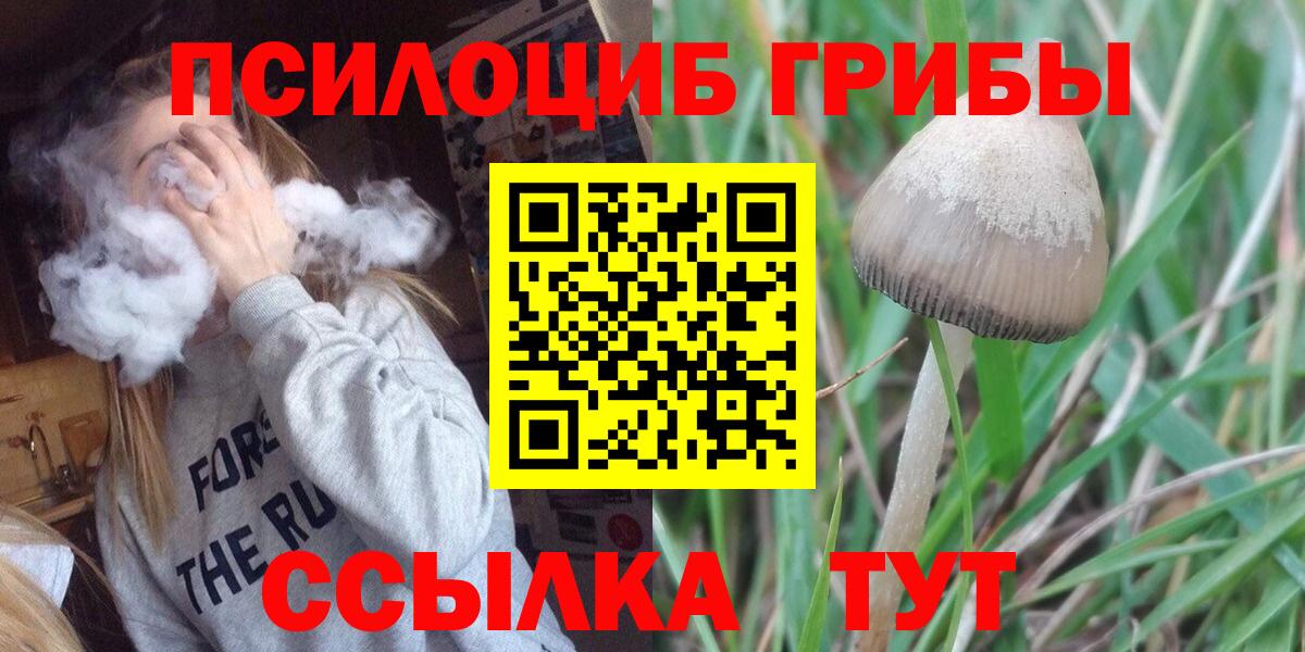 Новокубанск  Галлюциногенные грибы прущие грибы  Псилоцибиновые грибы Magic Shrooms  Вход с VPN 